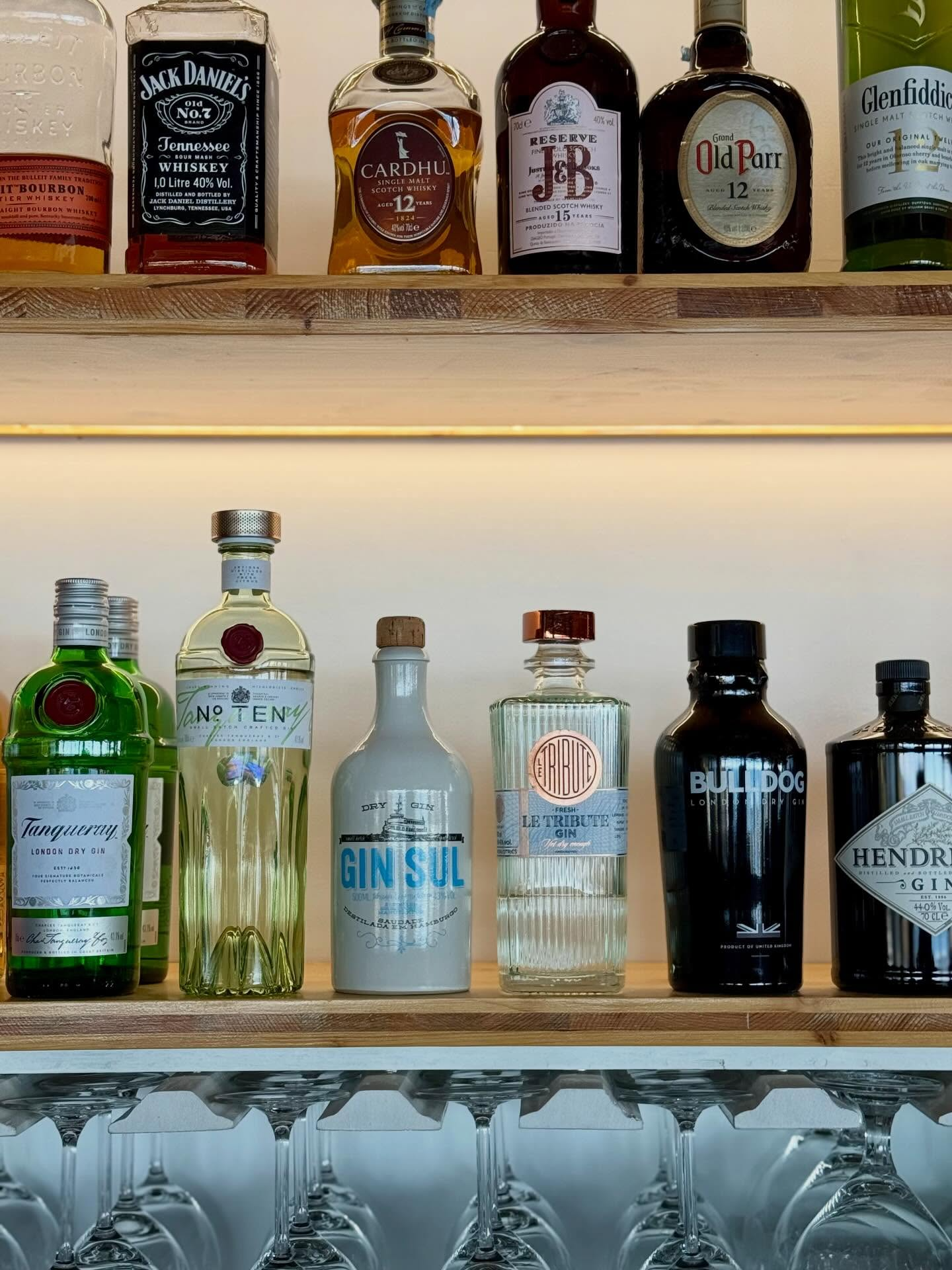 Gin & Tonic - Seleção Premium